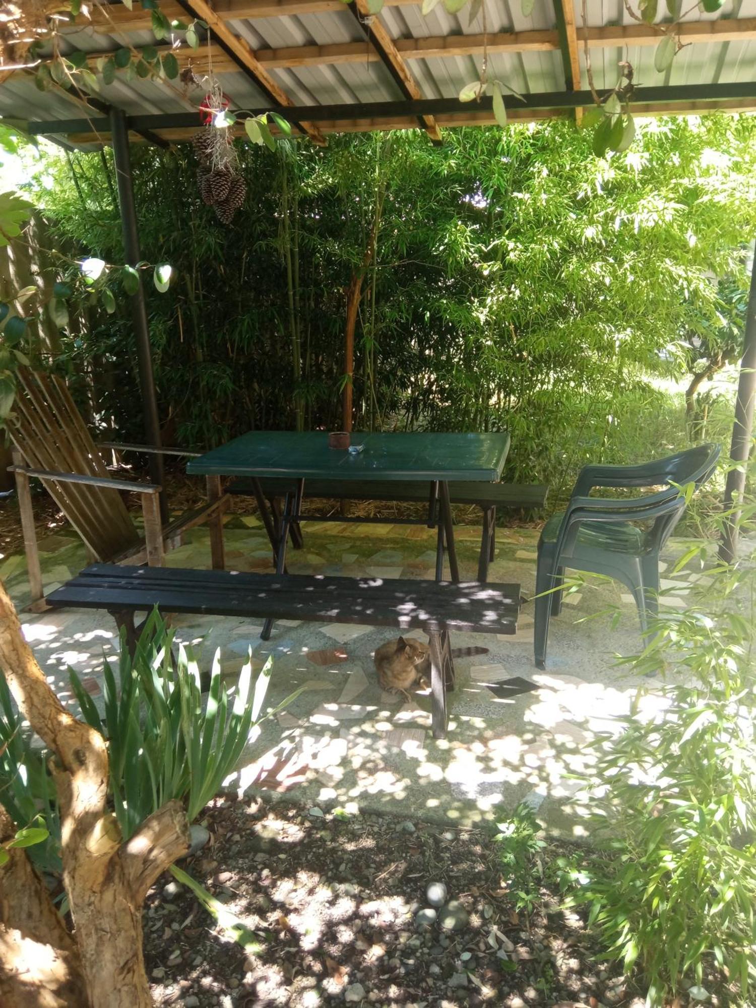 Zaza Hotel Kobuleti Luaran gambar
